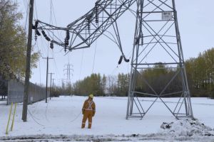 Manitoba Hydro staff surveying a damaged transmission tower.