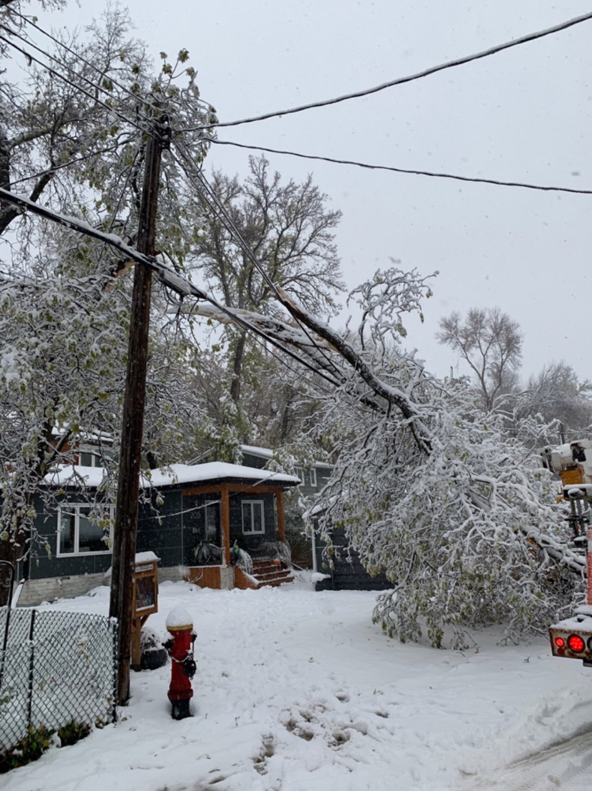 Southern Manitoba, and particularly Winnipeg, saw thousands of damaged trees falling onto distribution lines, causing outages