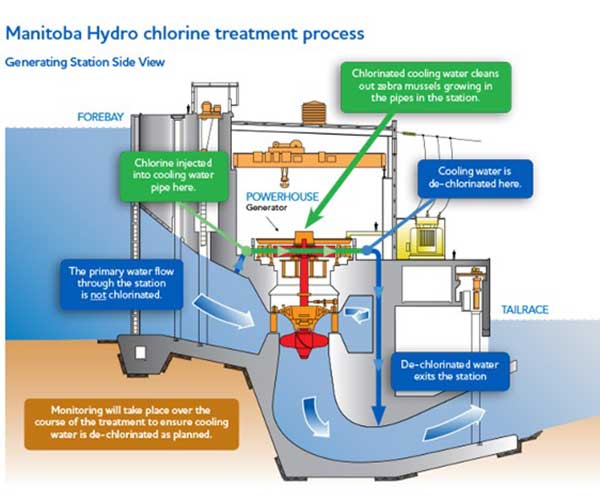 Cross section of typical generating station showing the chlorine treatment and monitoring proces.