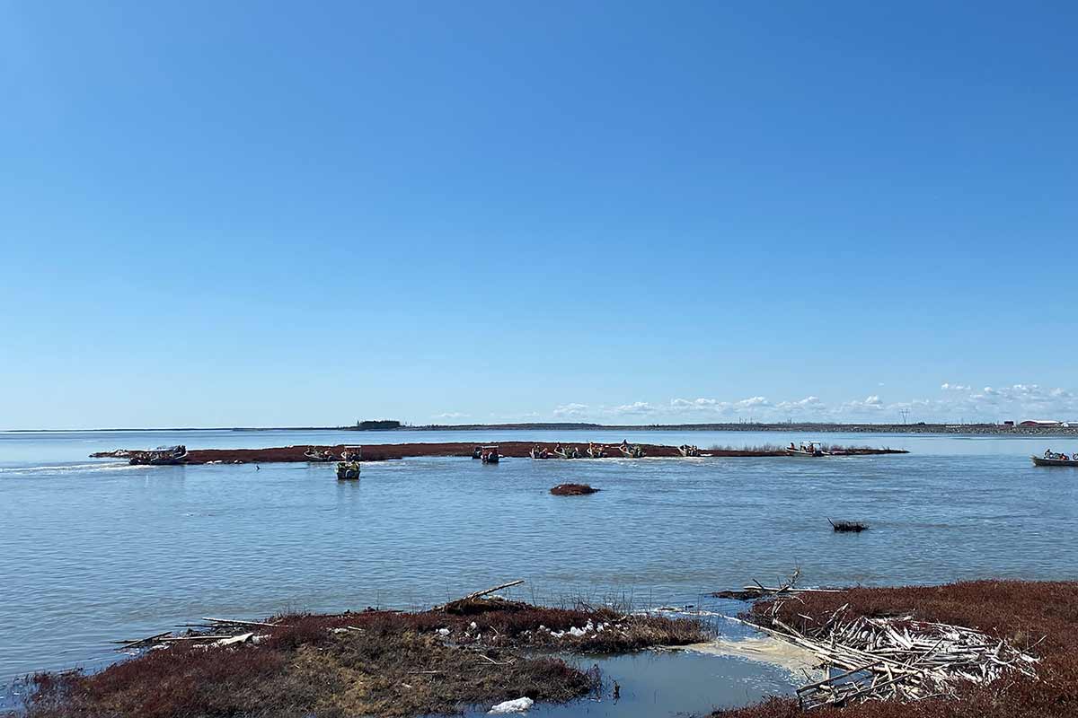 The peat island at Keeyask.