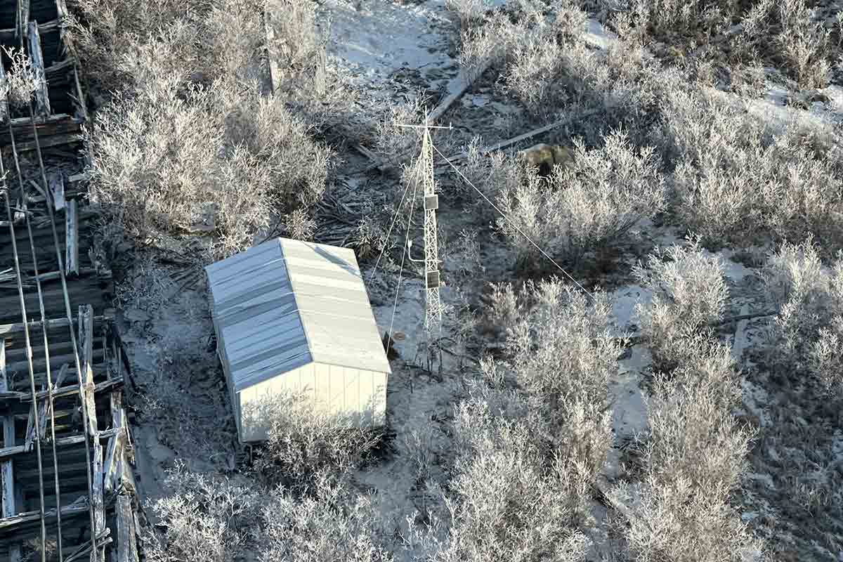 Aerial view of a Manitoba Hydro work site — can you spot the polar bears?